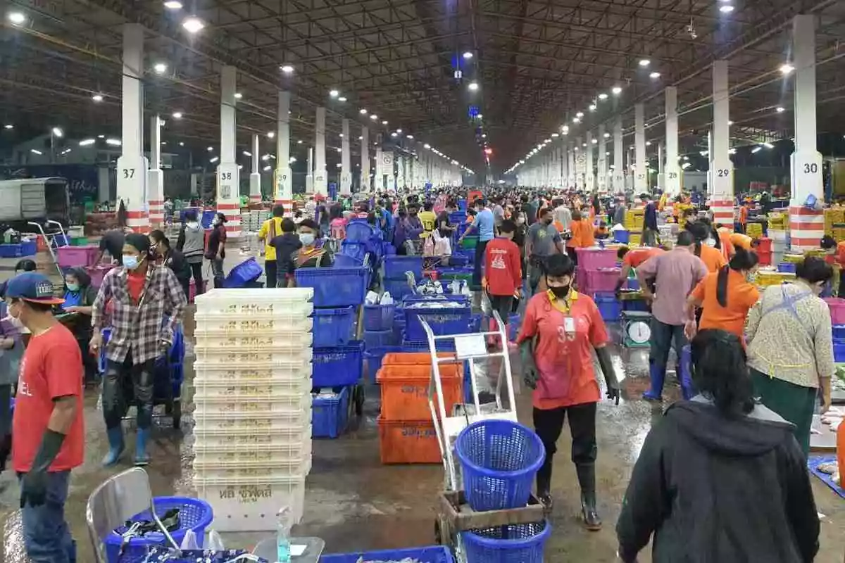 แรงงานต่างด้าวmou